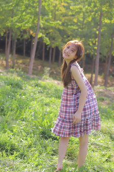 甄嬛传